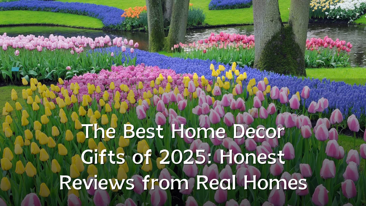 The Best Home Decor Gifts of 2025: Honest Reviews from Real Homes