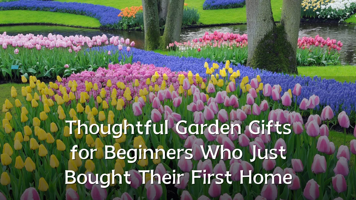 Thoughtful Garden Gifts for Beginners Who Just Bought Their First Home