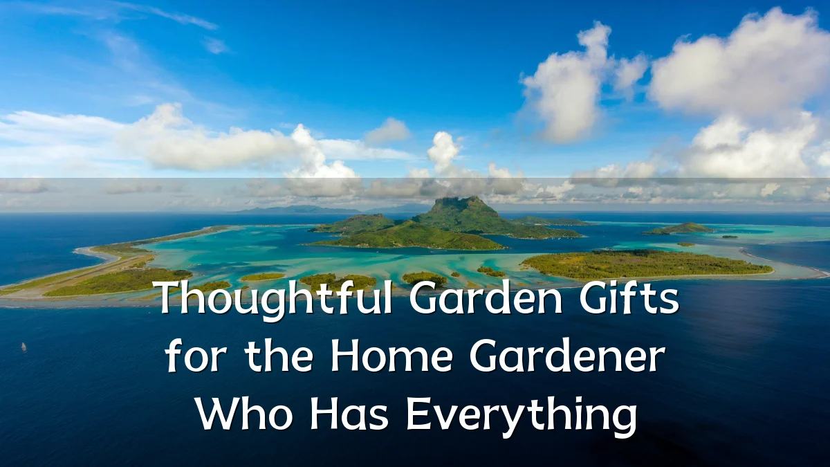 Thoughtful Garden Gifts for the Home Gardener Who Has Everything