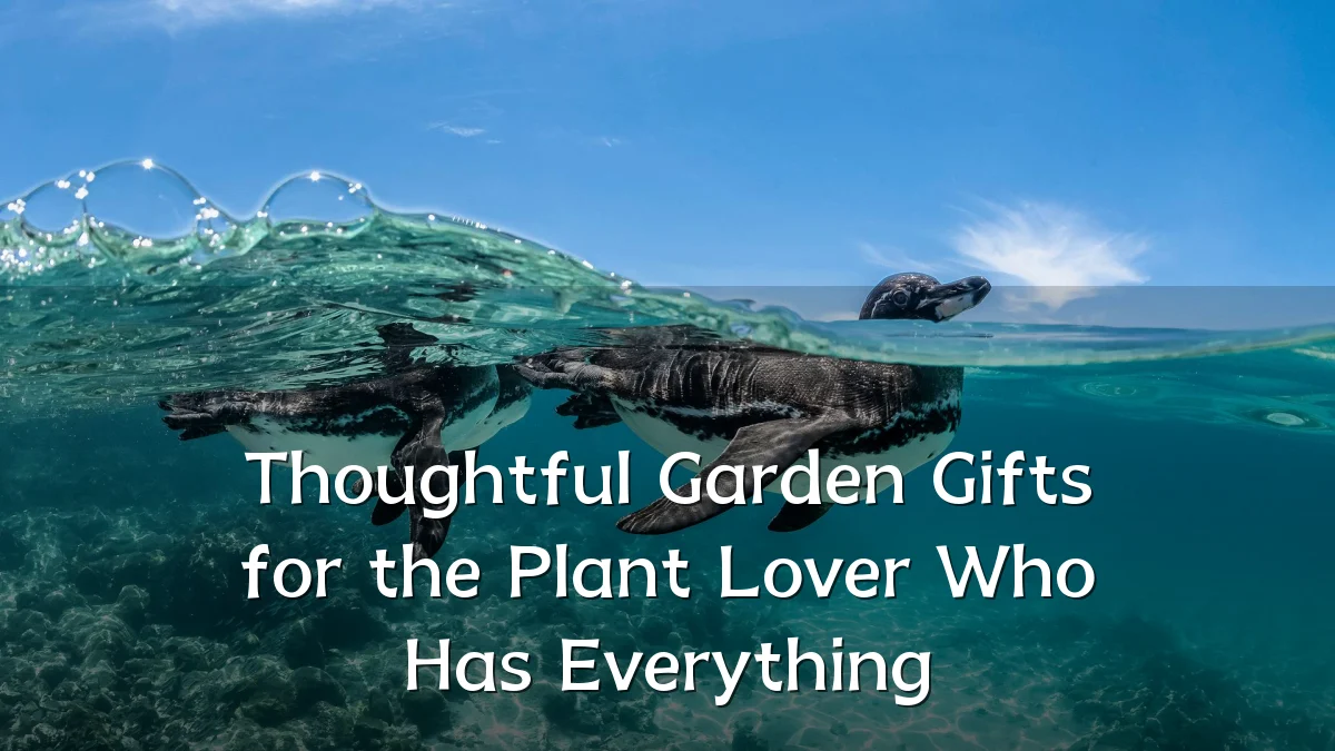 Thoughtful Garden Gifts for the Plant Lover Who Has Everything