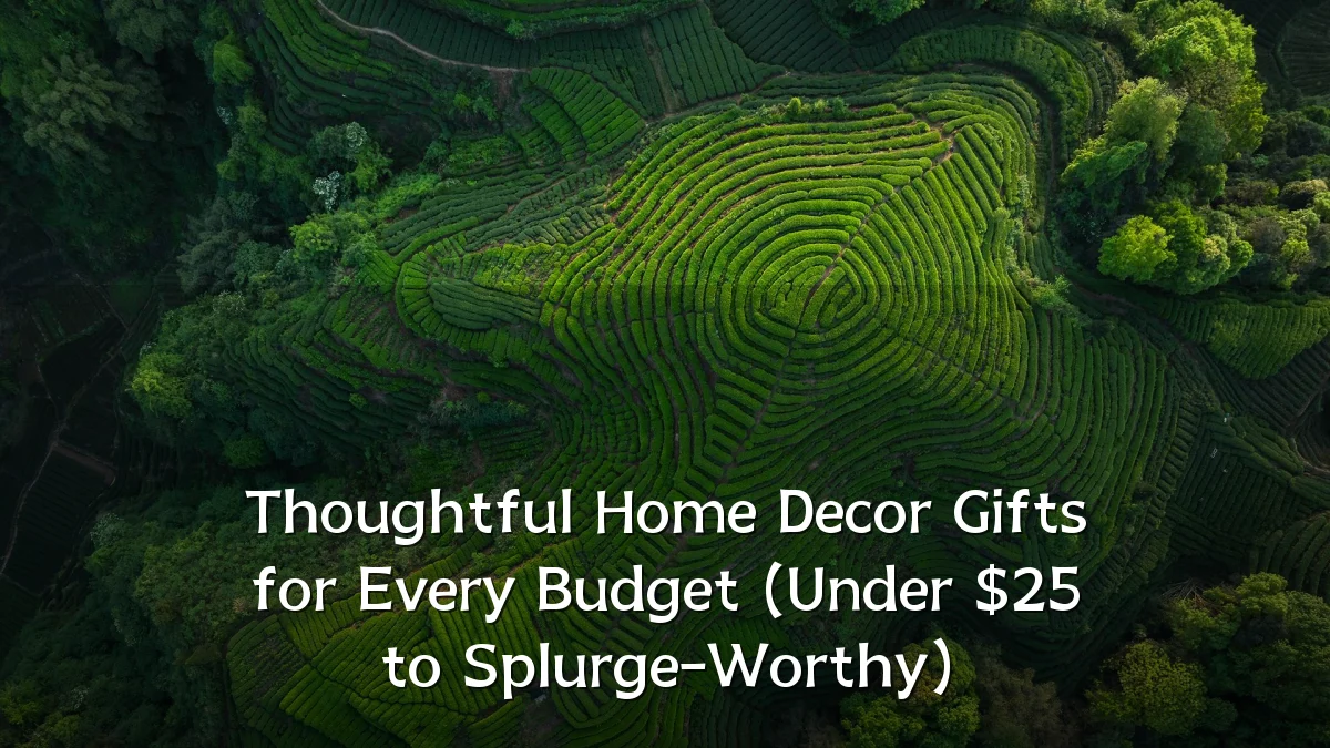Thoughtful Home Decor Gifts for Every Budget (Under $25 to Splurge-Worthy)