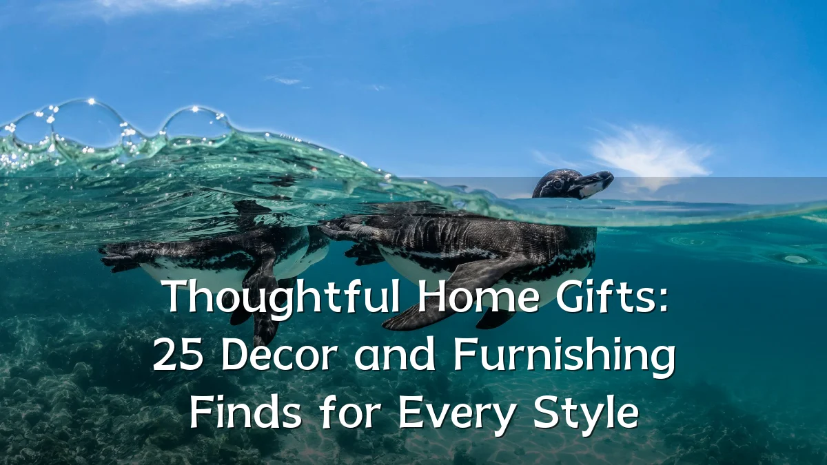 Thoughtful Home Gifts: 25 Decor and Furnishing Finds for Every Style