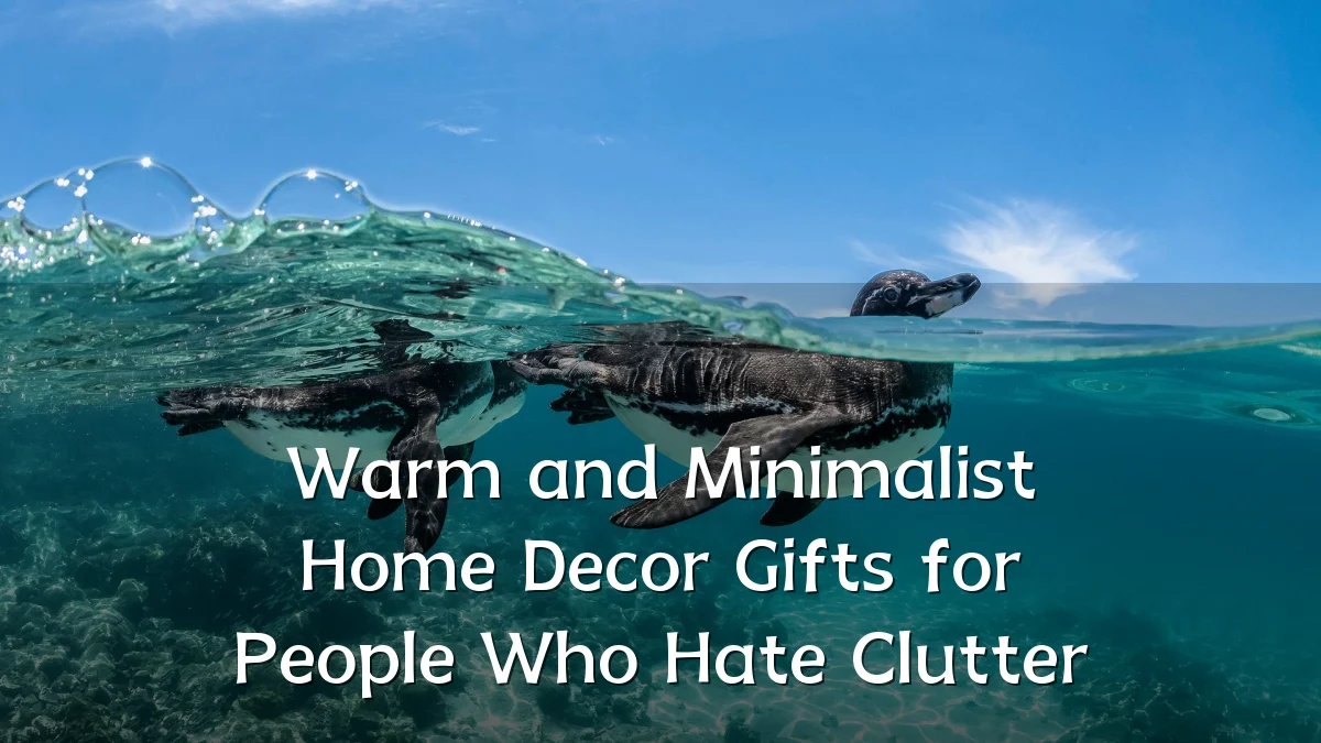 Warm and Minimalist Home Decor Gifts for People Who Hate Clutter