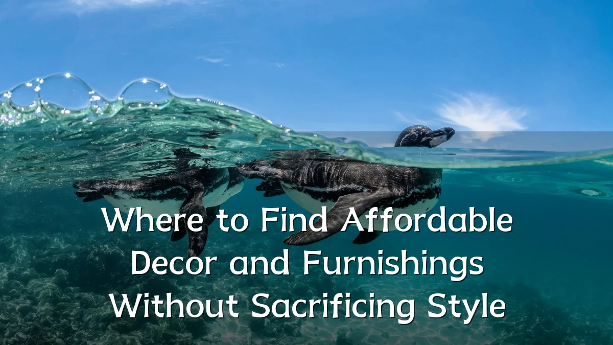 Where to Find Affordable Decor and Furnishings Without Sacrificing Style